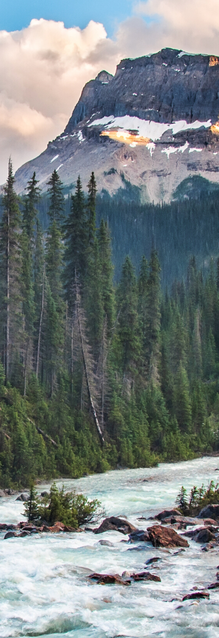 Find out how we can help with your...