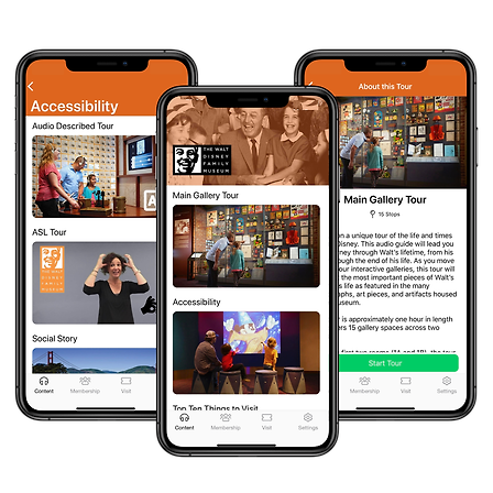 Museum and Gallery Solutions