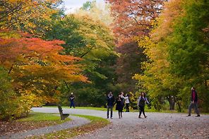 Arnold Arboretum