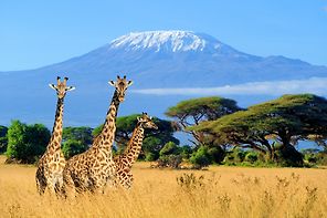 Ruka Africa